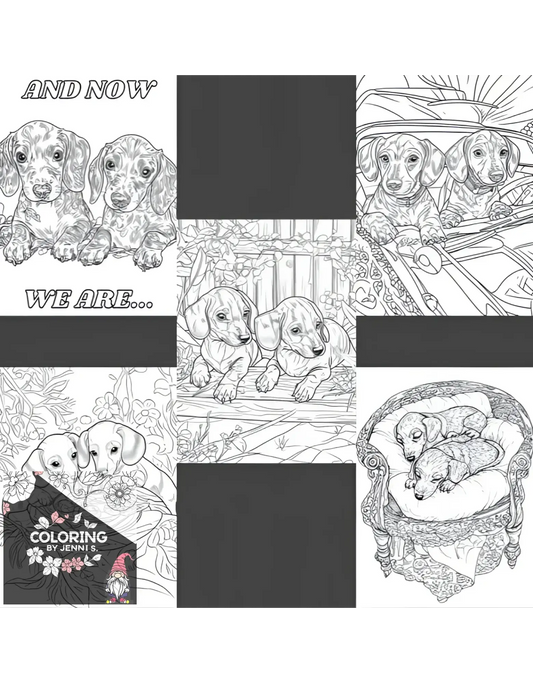 A Day in the Life of Sampson & Lily, Part 2, a coloring book, by: Jenni S. - Coloring by Jenni S.