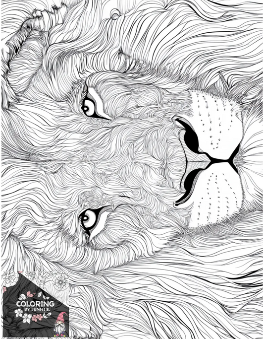 Custom Coloring Book -BUNDLE -Digital Copies -2 Books with 20 Pictures each - Coloring by Jenni S.