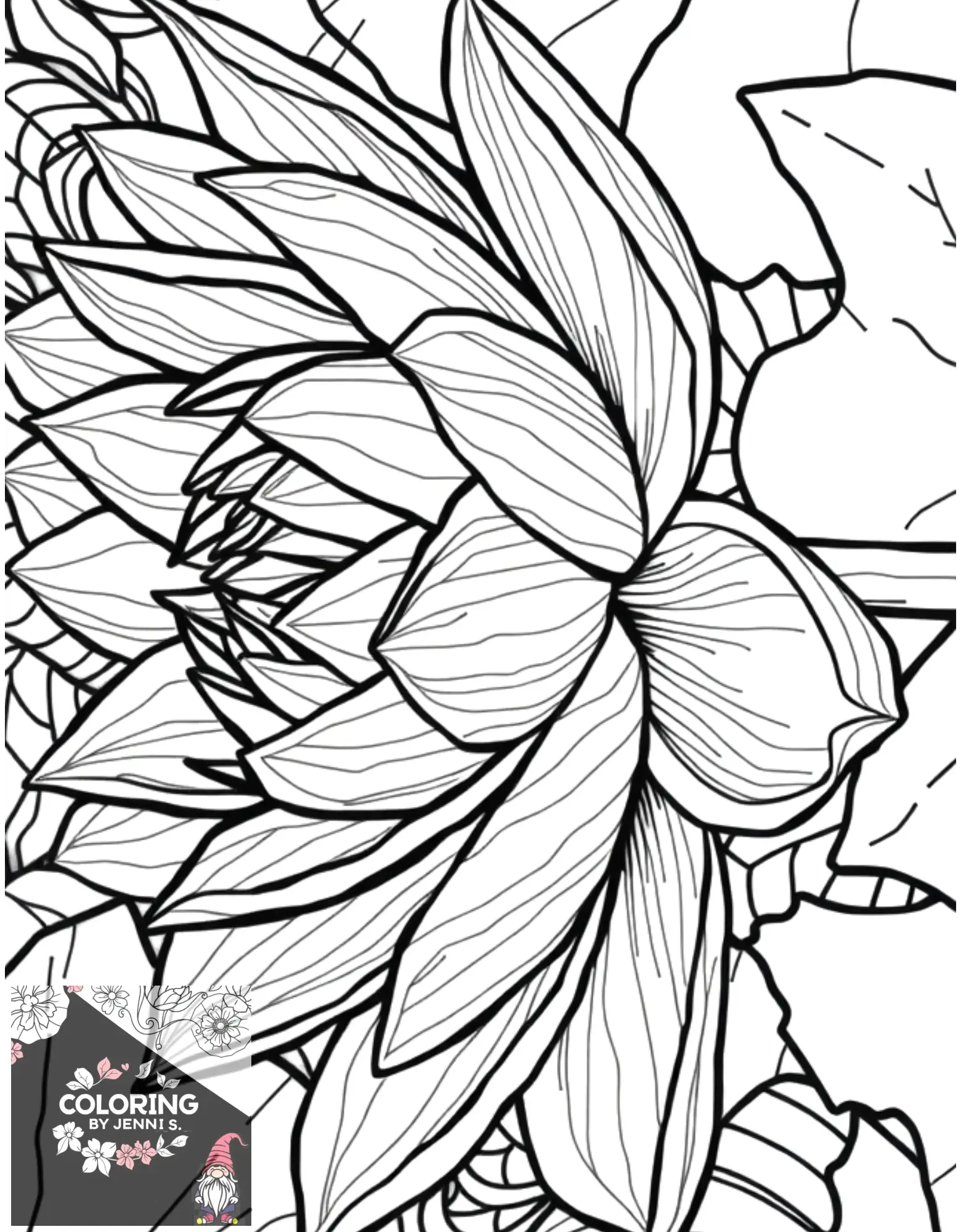 Custom Coloring Book -BUNDLE -Physical Copies -2 Books with 40 Pictures each - Coloring by Jenni S.